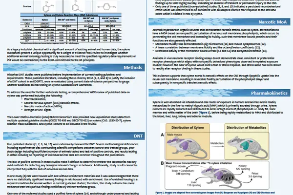 Xylene: weight of evidence approach case study to determine the need for an extended one generation reproductive study with a developmental neurotoxicity animal cohort