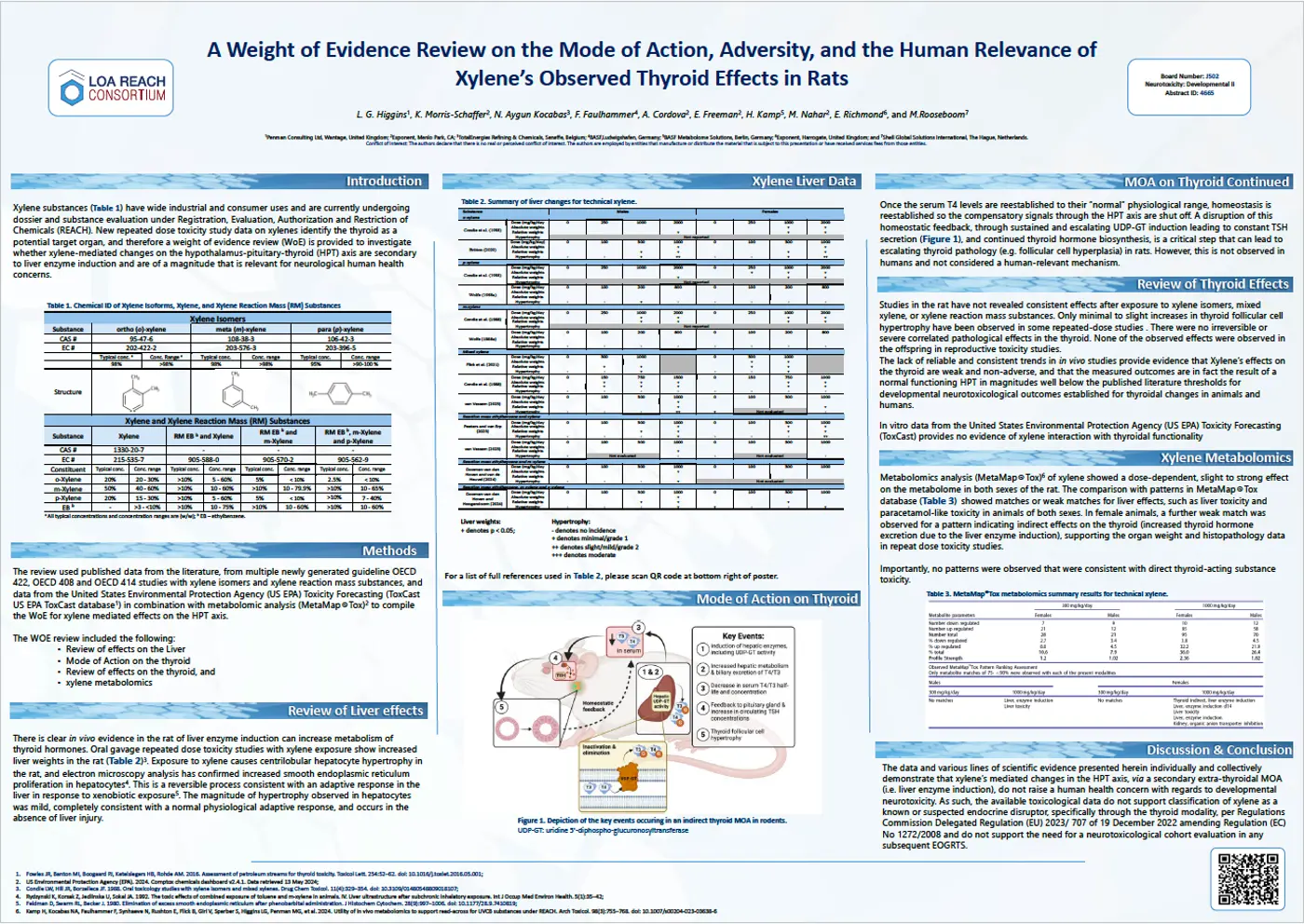 A Weight of Evidence Review on the Mode of Action, Adversity, and the Human Relevance of Xylene’s Observed Thyroid Effects in Rats