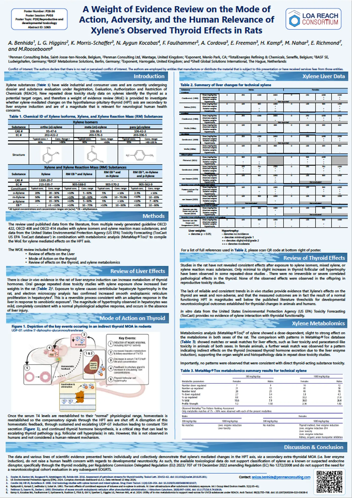 A Weight of Evidence Review on the Mode of Action, Adversity, and the Human Relevance of Xylene’s Observed Thyroid Effects in Rats