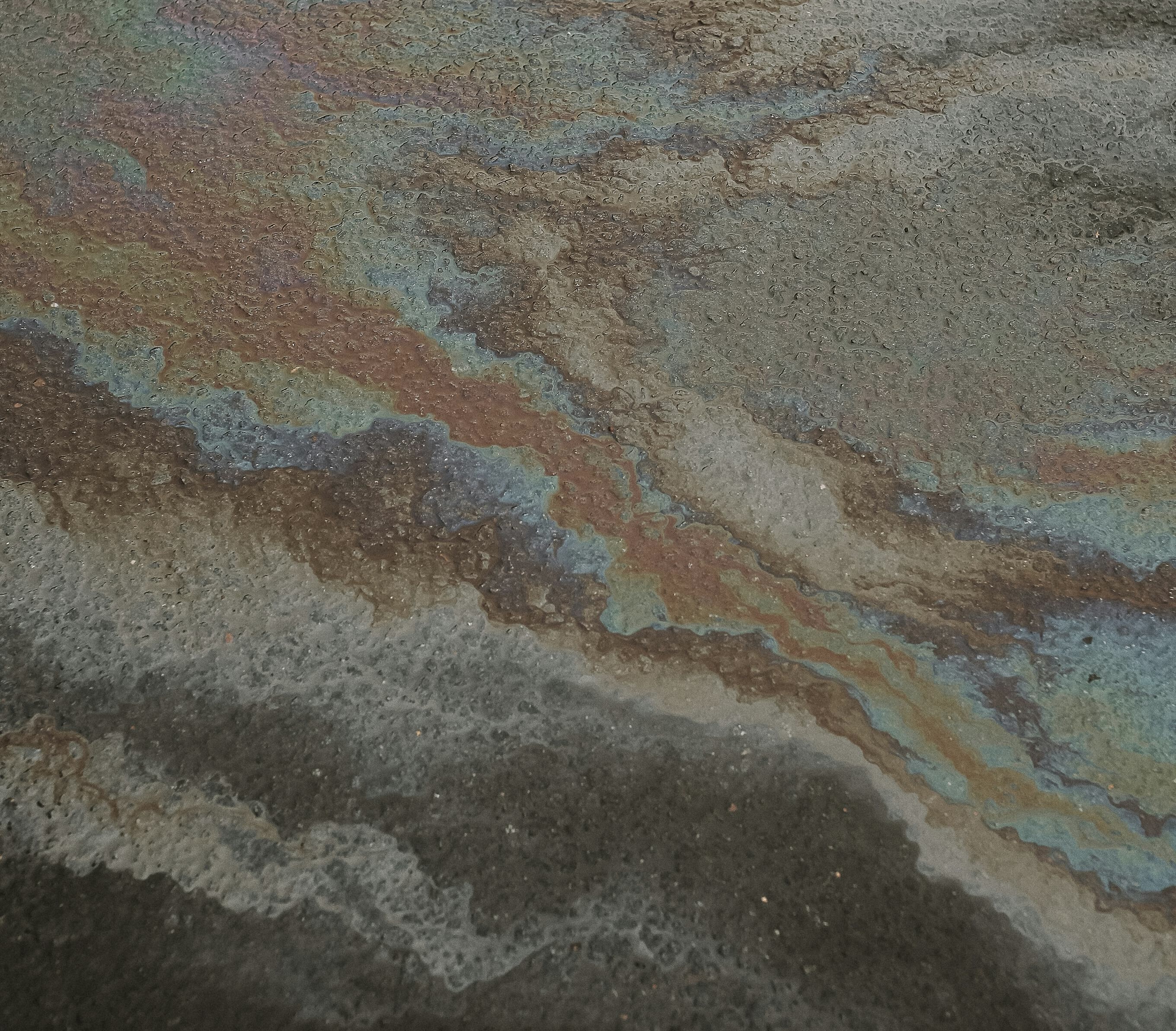 pexels-nikitaxnikitin-10372426