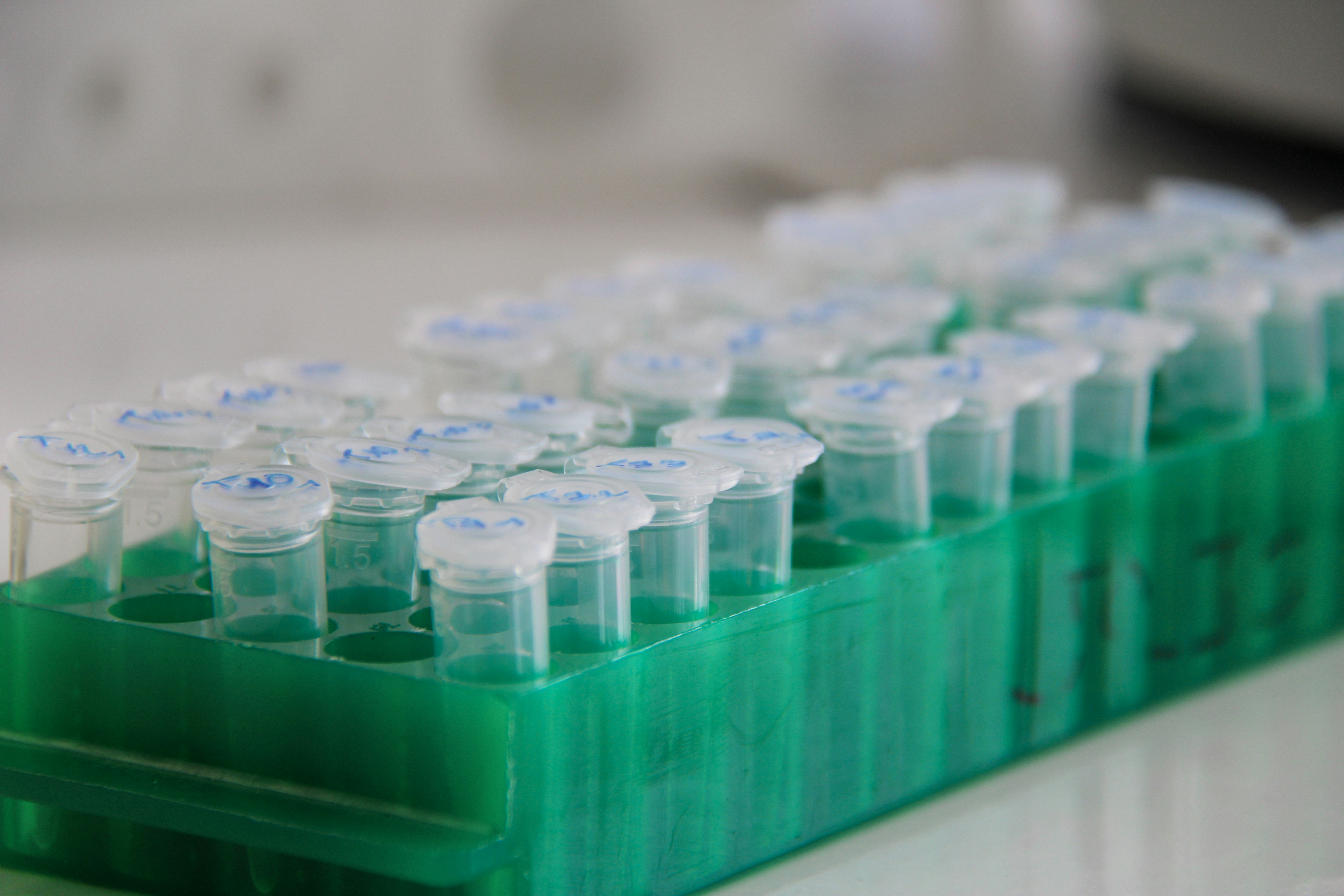 nathan-rimoux-QHBtGNo580Y-unsplash